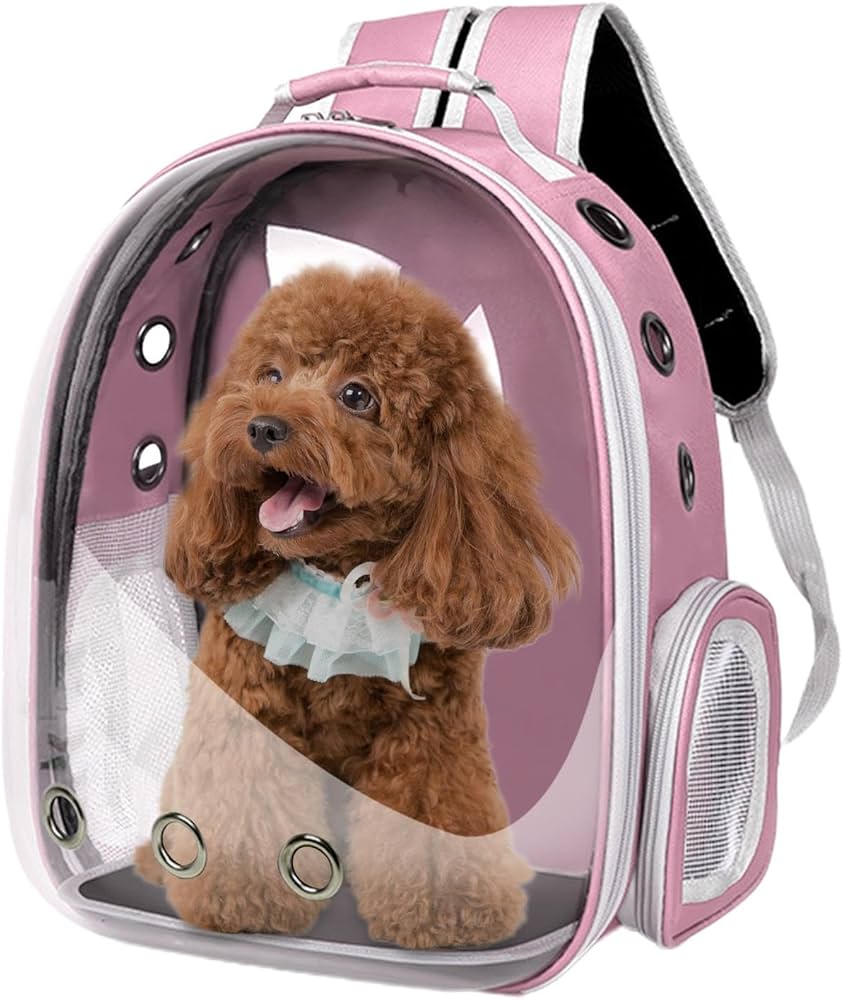 Mochila Pet Vision 360